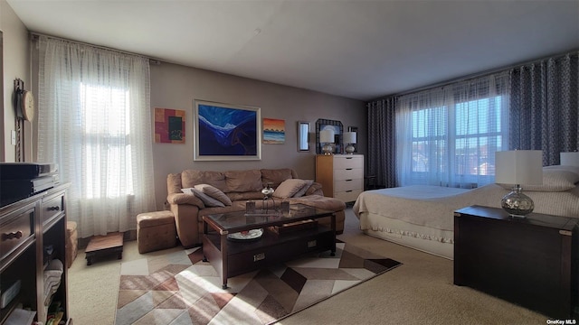 78-06 46th Ave Unit 6F, Elmhurst, NY 11373 - bedroom featuring light carpet