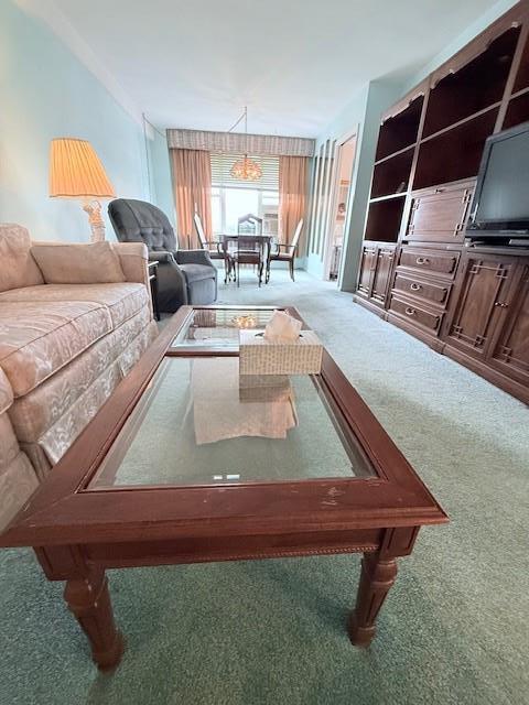 210-15 23rd Ave Unit 4E, Bayside, NY 11360 - living area featuring carpet floors