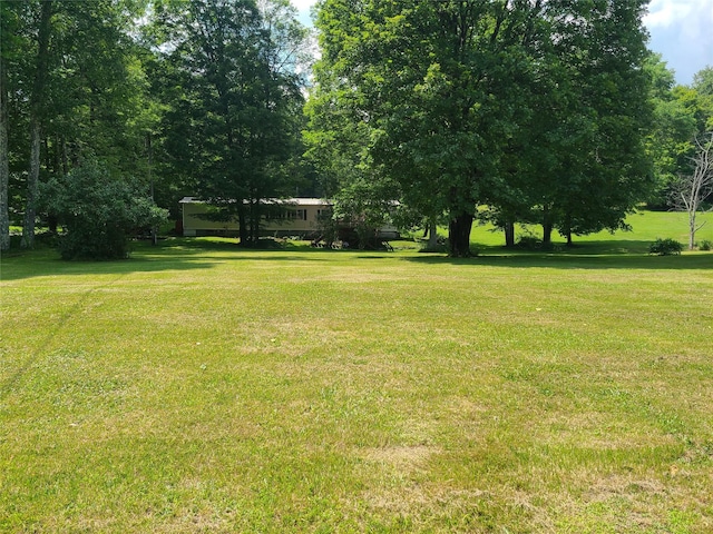 28 Martin Ln, Mongaup Valley, NY 12762 - photo 5