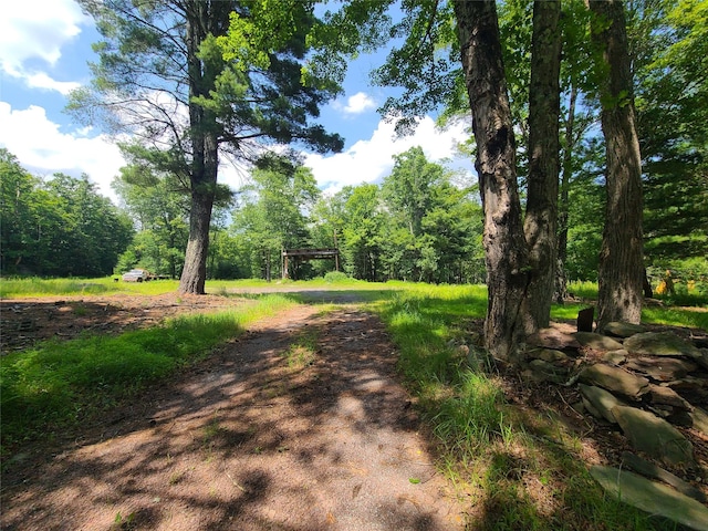 28 Martin Ln, Mongaup Valley, NY 12762 - photo 9