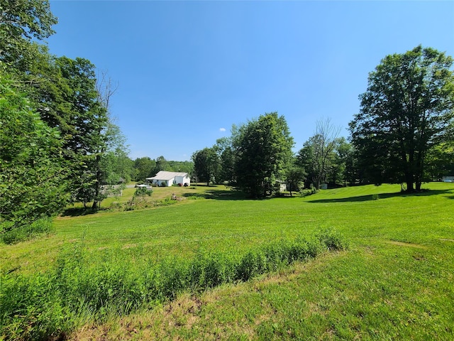 28 Martin Ln, Mongaup Valley, NY 12762 - photo 29