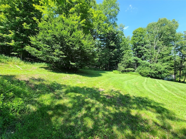 28 Martin Ln, Mongaup Valley, NY 12762 - photo 30