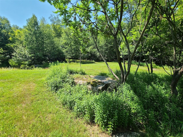 28 Martin Ln, Mongaup Valley, NY 12762 - photo 31