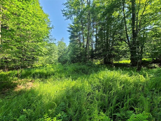 28 Martin Ln, Mongaup Valley, NY 12762 - photo 32