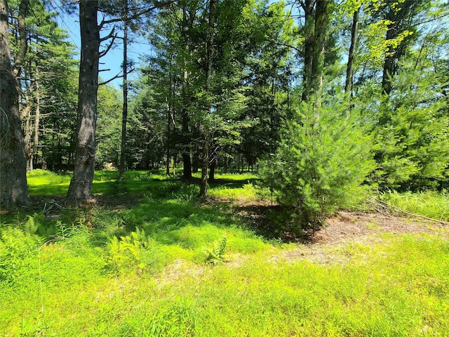 28 Martin Ln, Mongaup Valley, NY 12762 - photo 33
