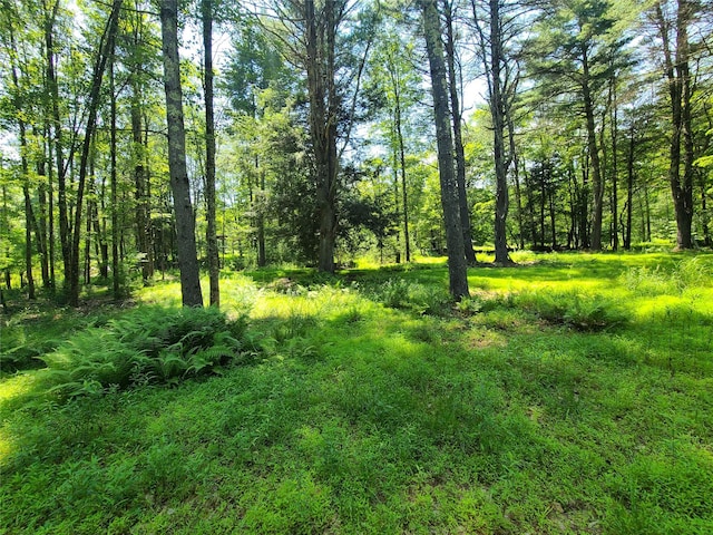28 Martin Ln, Mongaup Valley, NY 12762 - photo 34