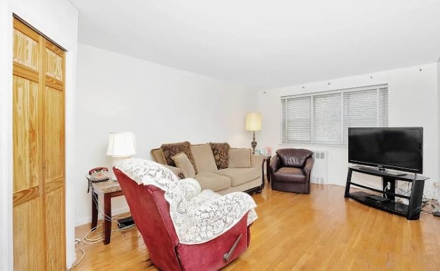 153-25 88th St Unit 1J, Howard Beach, NY 11414 - living room featuring wood finished floors