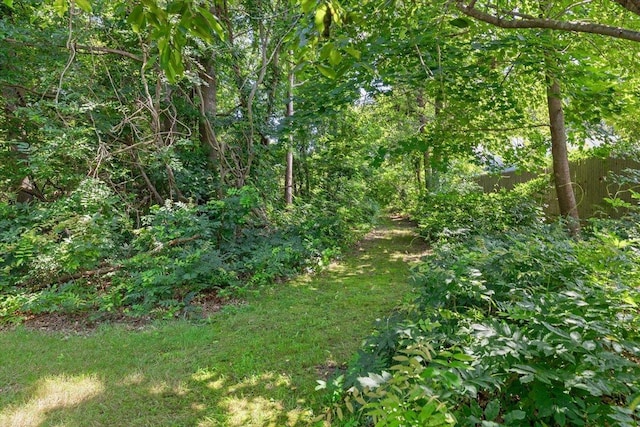 58 Middle Island Ave, Medford, NY 11763 - photo 24