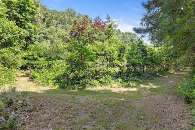 58 Middle Island Ave, Medford, NY 11763 - photo 25