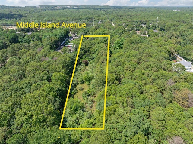 58 Middle Island Ave, Medford, NY 11763 - photo 29