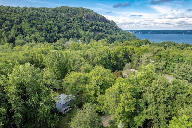 204 Radcliff Dr, Nyack, NY 10960 - photo 4