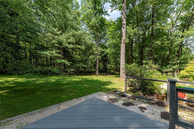 204 Radcliff Dr, Nyack, NY 10960 - photo 37