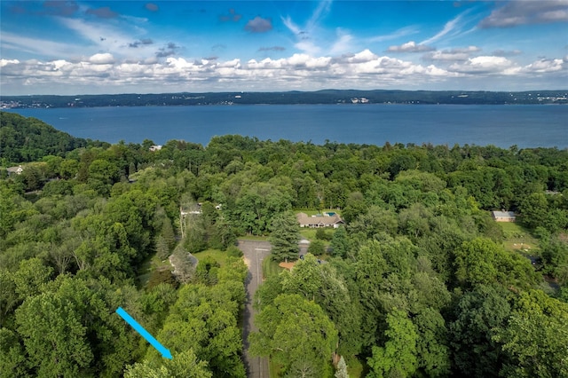 204 Radcliff Dr, Nyack, NY 10960 - photo 43