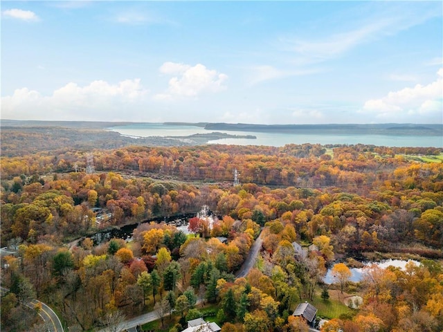 193 Mount Airy Rd W, Croton-On-Hudson, NY 10520 - photo 28