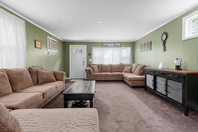 78-33 64th St, Glendale, NY 11385 - carpeted living room featuring crown molding and a wall mounted air conditioner