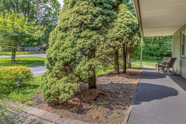 93 Cedar Ave, Poughkeepsie, NY 12603 - photo 4