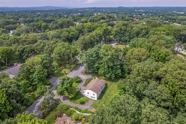 93 Cedar Ave, Poughkeepsie, NY 12603 - photo 31