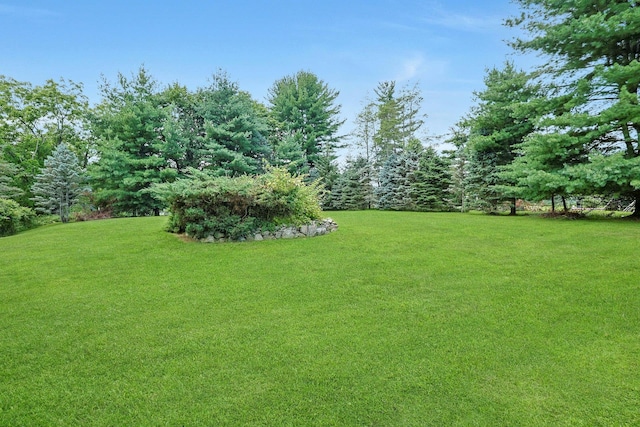 108 Eastview Dr, Valhalla, NY 10595 - photo 34