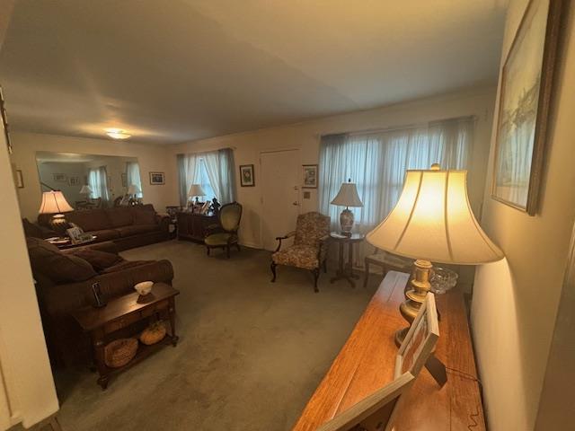 89 Hampton Ave, Albertson, NY 11507 - living room with carpet flooring