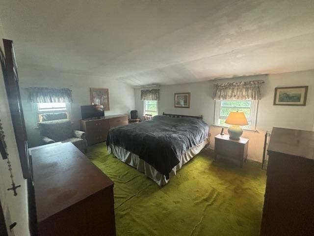 89 Hampton Ave, Albertson, NY 11507 - view of carpeted bedroom