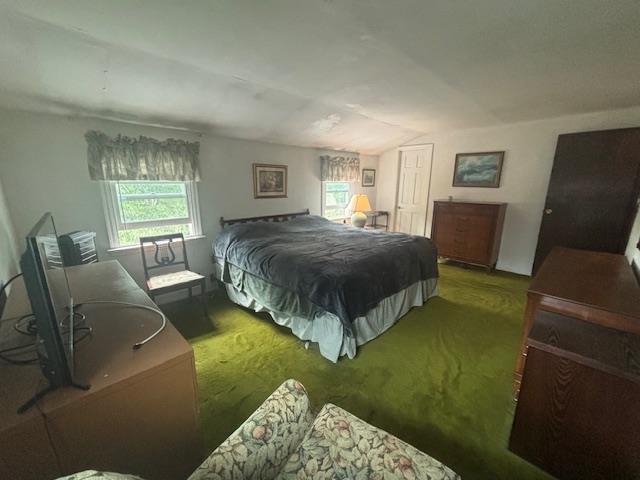 89 Hampton Ave, Albertson, NY 11507 - carpeted bedroom with lofted ceiling