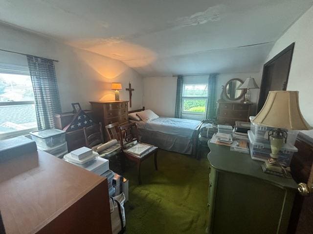 89 Hampton Ave, Albertson, NY 11507 - carpeted bedroom with lofted ceiling