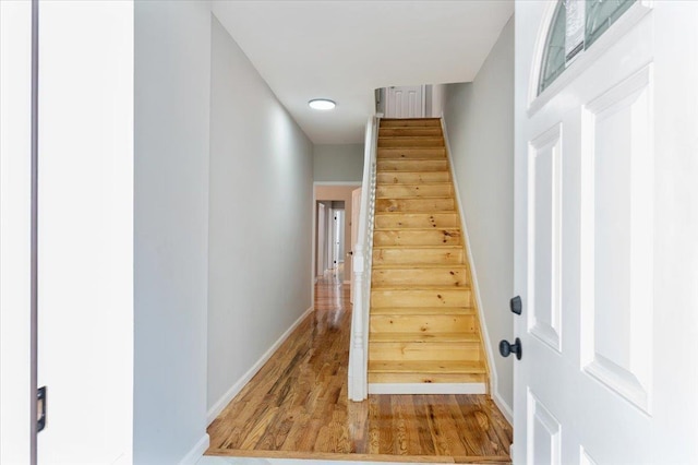 3585 Fish Ave, Bronx, NY 10469 - photo 6