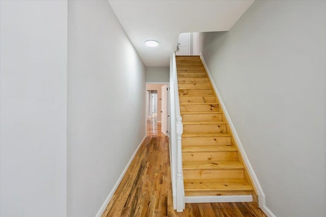 3585 Fish Ave, Bronx, NY 10469 - photo 7