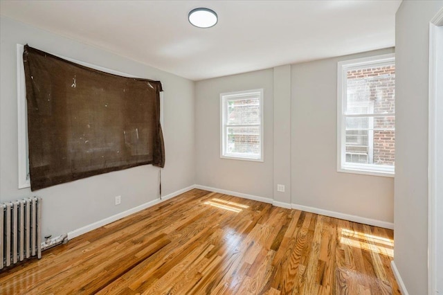 3585 Fish Ave, Bronx, NY 10469 - photo 11