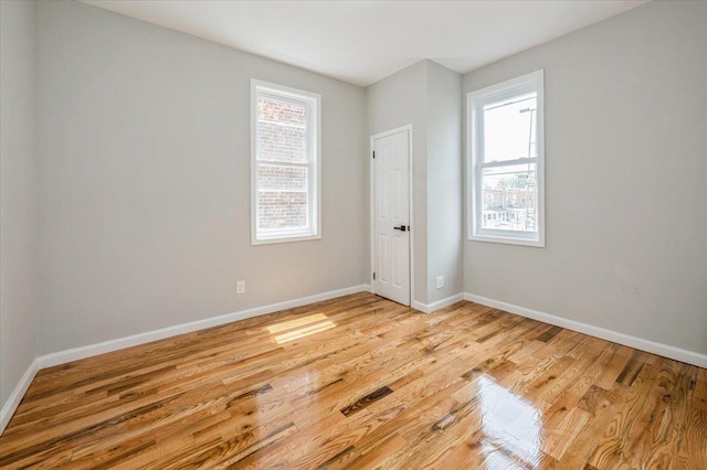 3585 Fish Ave, Bronx, NY 10469 - photo 20
