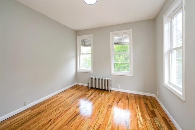 3585 Fish Ave, Bronx, NY 10469 - photo 29