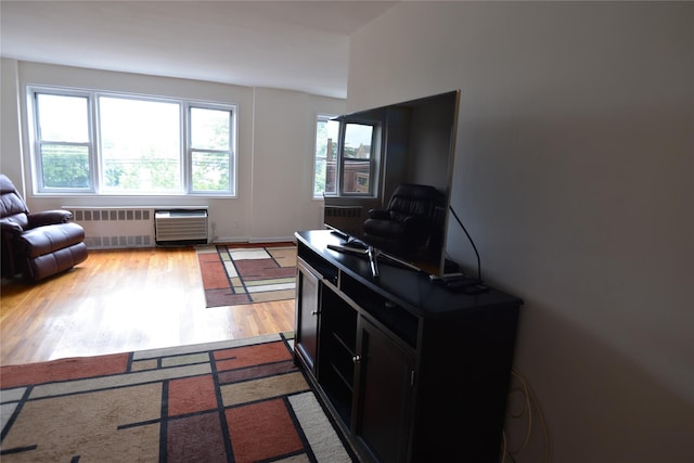 100 S Ocean Ave Unit 4A, Freeport, NY 11520 - living area with light wood finished floors and radiator