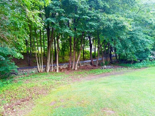 387 State Highway 97, Sparrowbush, NY 12780 - photo 2