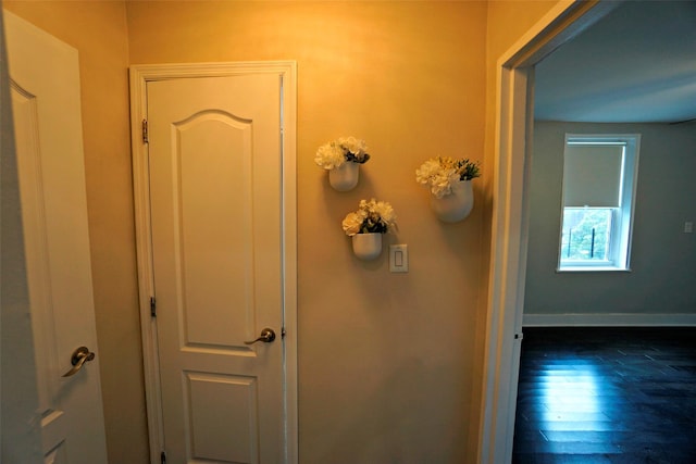 7281 113th St Unit 5F, Forest Hills, NY 11375 - corridor with baseboards and dark wood-type flooring