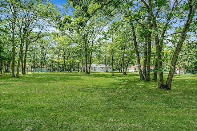 145 Chestnut St, Mount Sinai, NY 11766 - photo 3