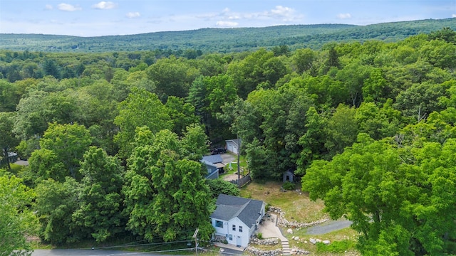11 Greer Rd, Pine Bush, NY 12566 - photo 22