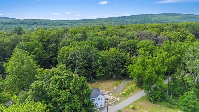 11 Greer Rd, Pine Bush, NY 12566 - photo 23