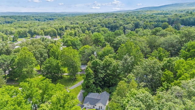 11 Greer Rd, Pine Bush, NY 12566 - photo 26