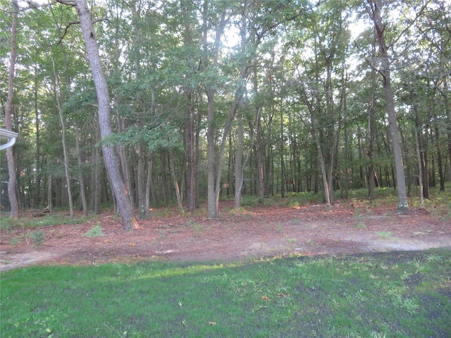 20 Hastings Dr, Ridge, NY 11961 - photo 41