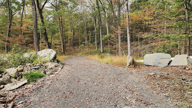 11 Stoutenburgh Dr, Hyde Park, NY 12538 - photo 4