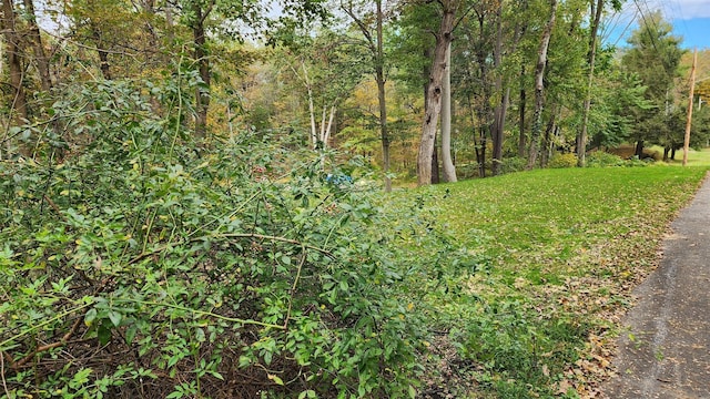 11 Stoutenburgh Dr, Hyde Park, NY 12538 - photo 6