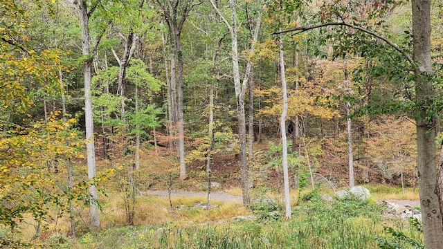 11 Stoutenburgh Dr, Hyde Park, NY 12538 - photo 7