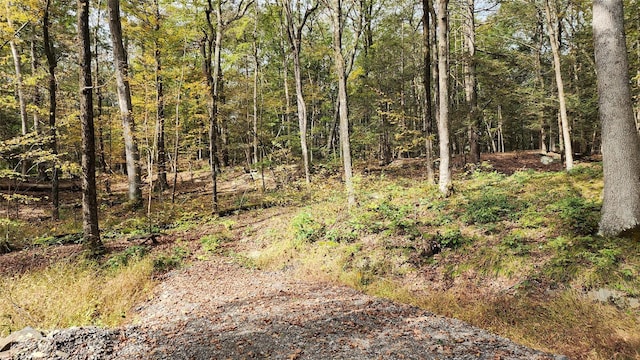 11 Stoutenburgh Dr, Hyde Park, NY 12538 - photo 8
