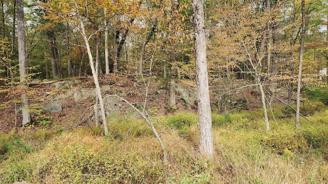 11 Stoutenburgh Dr, Hyde Park, NY 12538 - photo 9