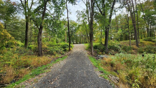 11 Stoutenburgh Dr, Hyde Park, NY 12538 - photo 10