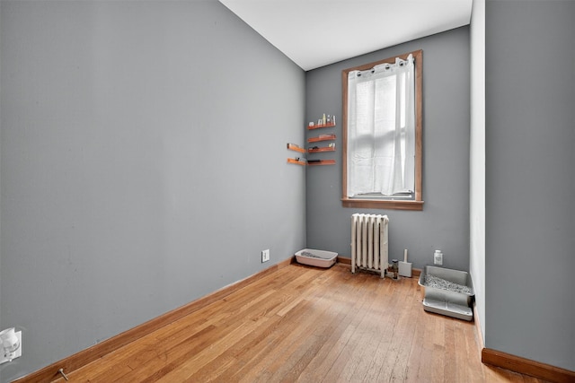1617 Ohm Ave, Bronx, NY 10465 - photo 16