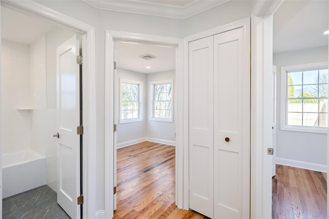 13 Doolittle St, Brentwood, NY 11717 - photo 26