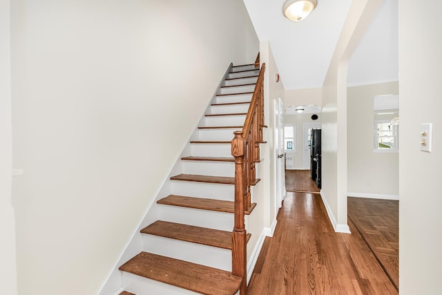 2731 Laconia Ave, Bronx, NY 10469 - photo 4