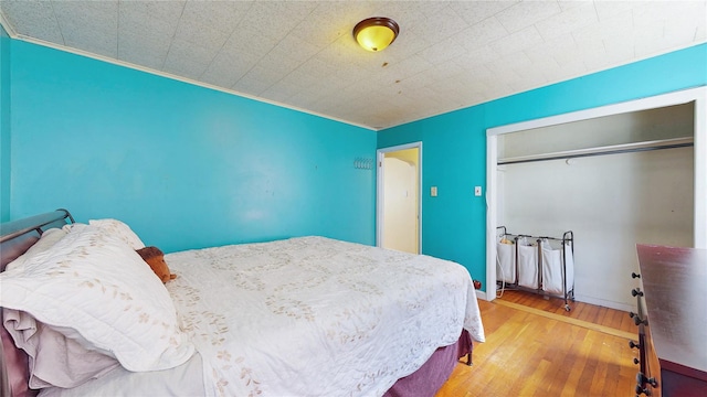 987 E 42nd St, Brooklyn, NY 11210 - photo 14