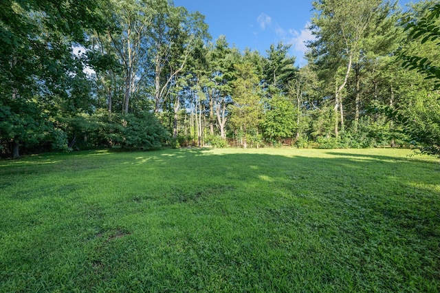 8 Caramel Ct, Commack, NY 11725 - photo 41